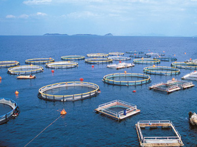 Στο εφετείο η Νηρέας