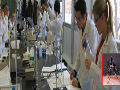 Ο Ιός το Νείλου “χτύπησε” στην Αττική