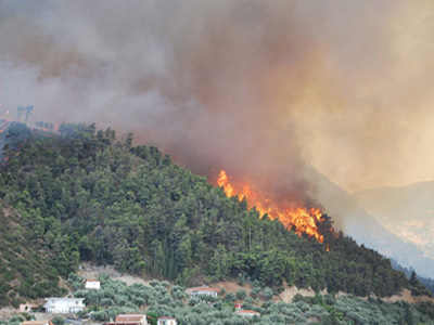 Πυρκαγιά στη Σκύρο