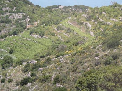 Ενίσχυση της τοπικής παραγωγής μικρών νησιών του Αιγαίου