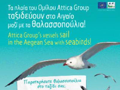 Συνεργασία για την προστασία των θαλασσοπουλιών