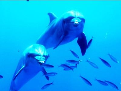 Επιτέλους ελεύθερα!!!