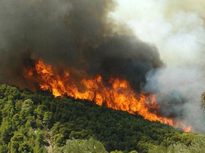 Πυρκαγιά στο Διόνυσο Κερατέας