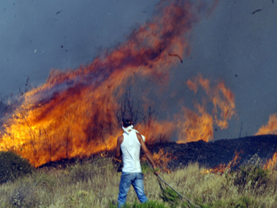 Πυρκαγιά στη Σαλαμίνα