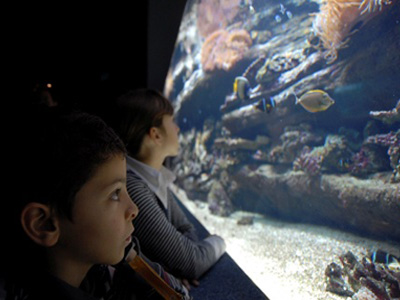 Μοναδικές εμπειρίες στην έκθεση για την Κλιματική Αλλαγή