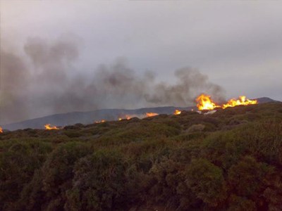 Πυρκαγιά σε χαμηλή βλάστηση στη Σαλαμίνας