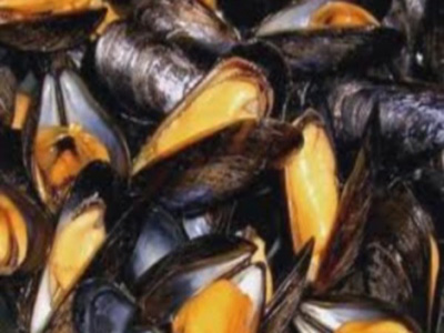 Συνελήφθησαν ενώ αναδύονταν από το βυθό