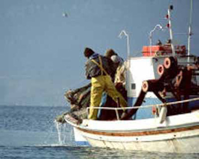 Τραυματισμός αλιεργάτη