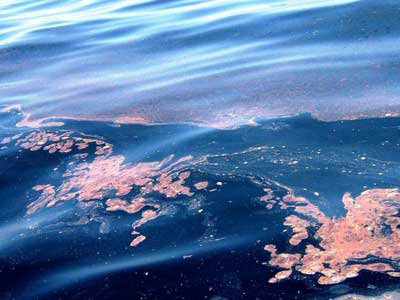 Θαλάσσια ρύπανση  στη Σύρο