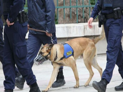 Τους «ξετρύπωσε» ο σκύλος