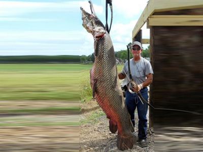 Εκπληκτική ψαριά με τόξο!
