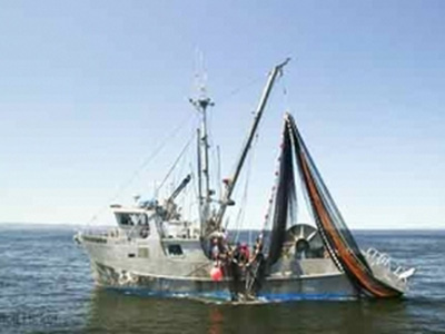 Τίποτα δεν σέβονται οι Τούρκοι ψαράδες