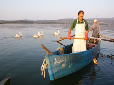 Καθολική απαγόρευση αλιείας στα Ιωάννινα