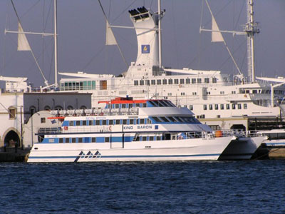 Επιχείρηση διάσωσης επιβάτη κρουαζιερόπλοιου