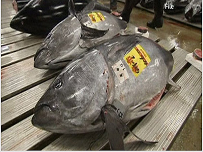 Εντόπισαν τόνο με ραδιενέργεια από τη Φουκουσίμα