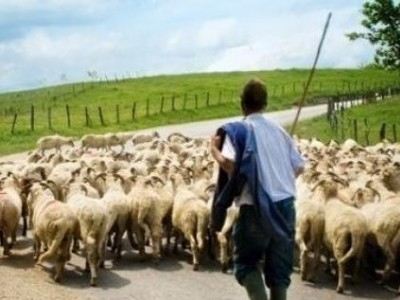 Ζευγάρι Ελλήνων βοσκών κακοποιήθηκε σε αλβανικό χωριό