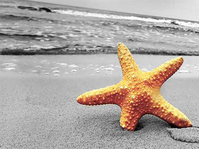 Παρουσίαση του Προγράμματος «Waste Free Oceans»