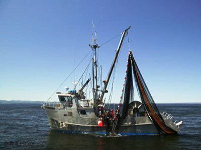 Κατάσχεση αλιευμάτων στη Ρόδο