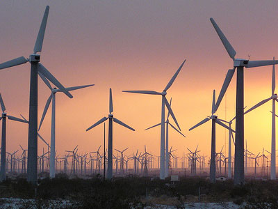 Μεσογειακό Ινστιτούτο Έρευνας στην Πελοπόννησο