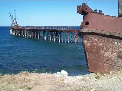 Βιολογικοί «λαθρομετανάστες» στην Ιαπωνία