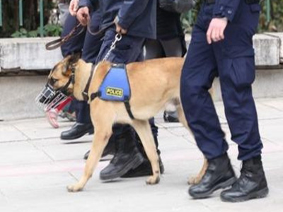 Σύλληψη για ναρκωτικά στη Μυτιλήνη