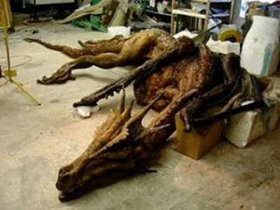 Βρέθηκε δράκος στην Κίνα