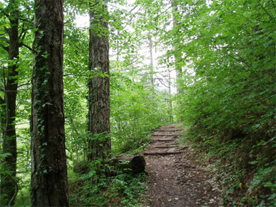 Έπεσε στην χαράδρα εν ώρα περιήγησής του σε φαράγγι