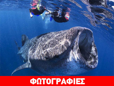 Η φρίκη πίσω από τη μαγεία της φύσης