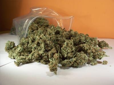 Τον τσάκωσαν με κάνναβη