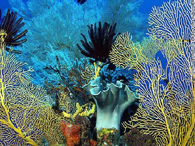 Τεράστια θαλάσσια πάρκα στην Αυστραλία