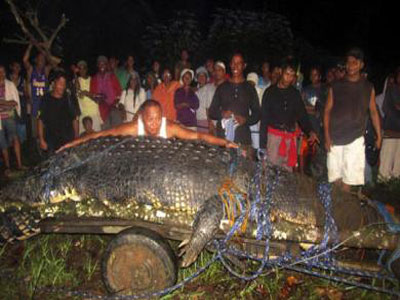 Ο μεγαλύτερος κροκόδειλος του κόσμου!