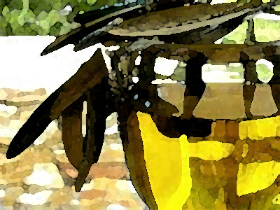 «Λάδι» θα την βγάλουν οι πολίτες σε Κερατσίνι και Δραπετσώνα