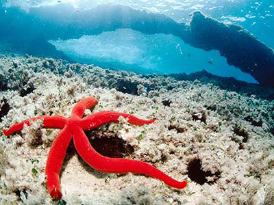 Επανεκκίνηση έργου υποβρύχιας καλωδίωσης Μεσογείου