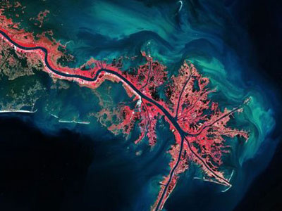 Συρρικνώνεται το Δέλτα του Μισισιπί