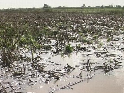 Τεράστιες ζημιές στις καλλιέργειες