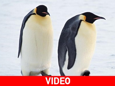 Σαν να μην τρέχει τίποτα!