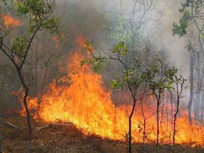 Σε εξέλιξη πυρκαγιά στην Κεφαλονιά