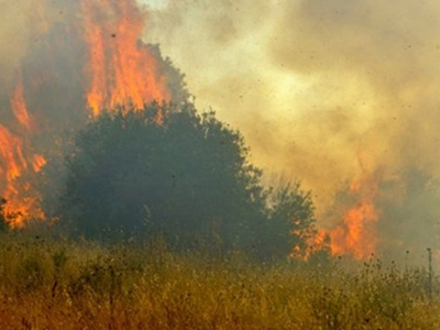 Πυρκαγιά στη Φωκίδα