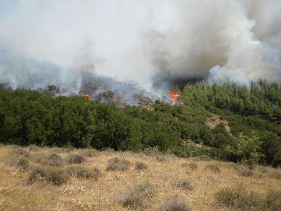 Πυρκαγιά και στην Κάτω Χρυσοβίτσα Αιτωλοακαρνανίας