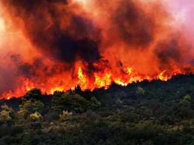 Υπό μερικό έλεγχο οι πυρκαγιές σε Χαλκιδική και Σκόπελο