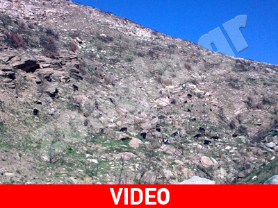 Περιβαλλοντική αναισθησία