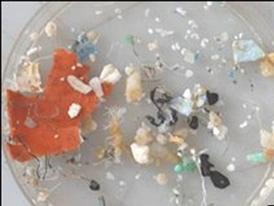 Τεράστιες ποσότητες πλαστικών στον Ατλαντικό