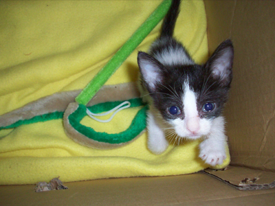 Χαρίζεται ο μικρούλης Πόλντο