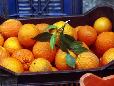 Στοίβαξαν μετανάστες σε φορτηγό με πορτοκάλια