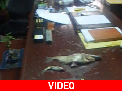 Πέταξαν ψάρια στο γραφείο του Νομάρχη