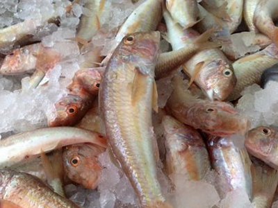 Ανακαλείται σάλτσα ψαριού από το Βιετνάμ