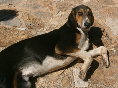 Πλήρωσε ακριβά την εμπιστοσύνη του στους ανθρώπους