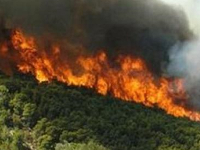 Πύρινα μέτωπα σε Θεσπρωτία, Αλμυρό Βόλου και Ναύπακτο