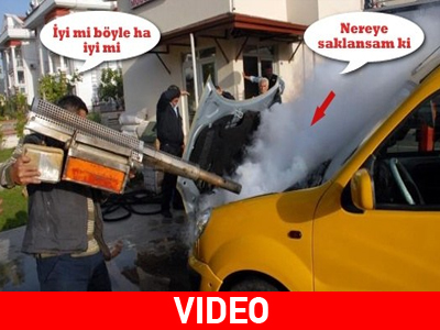 Ποιος είδε το… φίδι και δεν το φοβήθηκε!