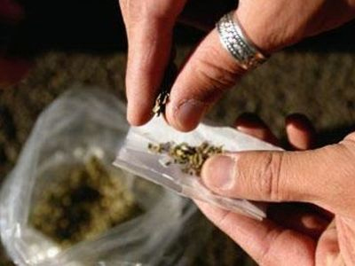 Καλλιεργούσε 148 φυτά κάνναβης